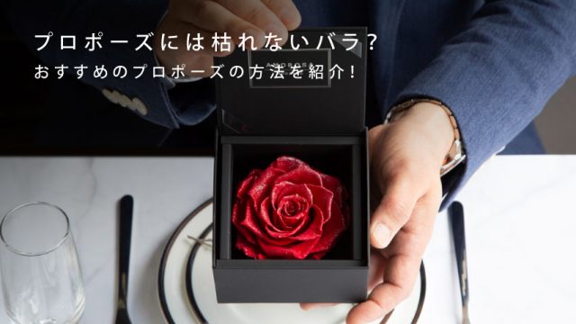 プロポーズには枯れないバラ？おすすめのプロポーズの方法を紹介！-THE ROSE MAGAZINE