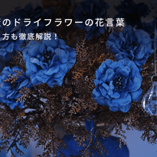 青い薔薇のドライフラワーの花言葉や意味、作り方も徹底解説！-THE ROSE MAGAZINE